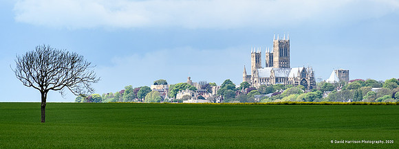 DHP-copyright-David-Harrison-Lincoln Cathedral-1920