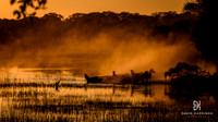 DHP-African-Safari-Adventures-3554