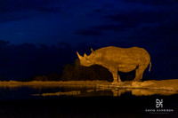 DHP-African-Safari-Adventures-0224