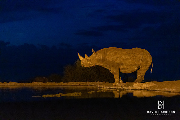 DHP-African-Safari-Adventures-0224