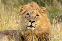 DHP-African-Safari-Adventures-9793