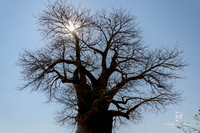 DHP-African-Safari-Adventures-7565