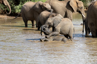 DHP-African-Safari-Adventures-2186