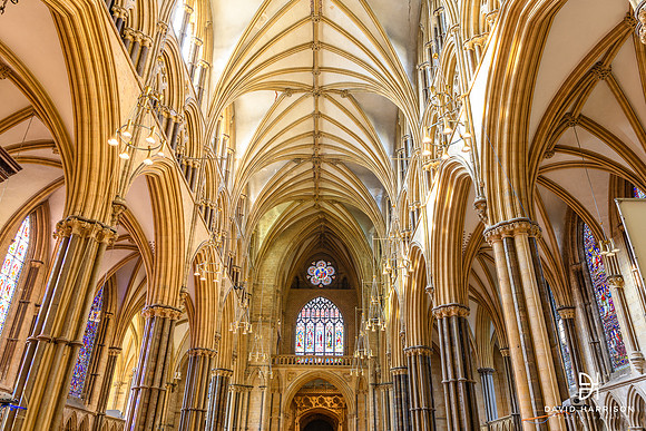 DHP-LINCOLN-BUSINESS-WALLART-5489