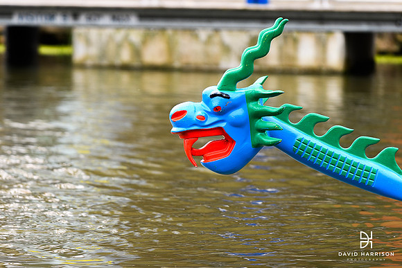 DHP-LIVES-Dragonboat-Race2023-LR-1255