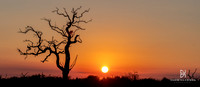 DHP-African-Safari-Adventures-2773
