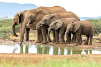 DHP-African-Safari-Adventures-3588