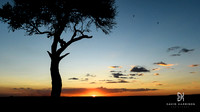 AFRICAN SKIES