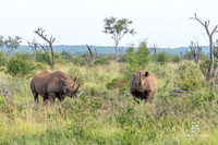 DHP-African-Safari-Adventures-0307