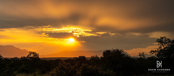 DHP-African-Safari-Adventures-5797