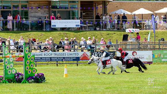 DHP-Lincs-Show-2023-LR-0296