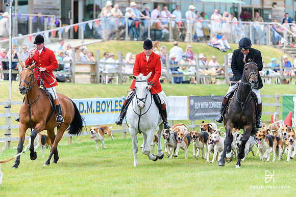 DHP-Lincs-Show-2023-LR-0381