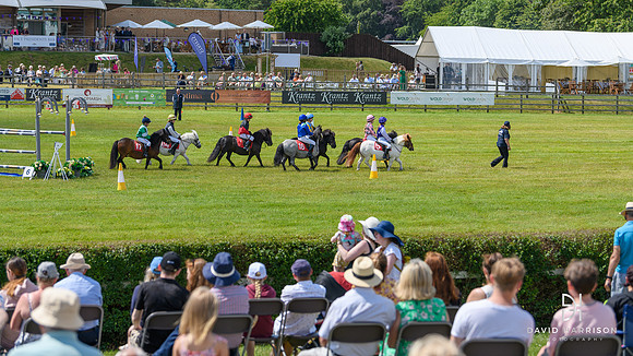 DHP-Lincs-Show-2023-LR-0293
