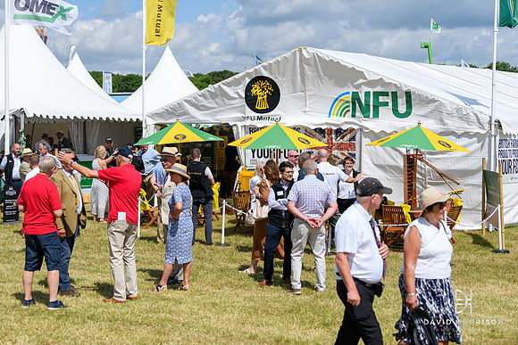 DHP-Lincs-Show-2023-LR-0286