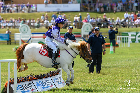 DHP-Lincs-Show-2023-LR-0320