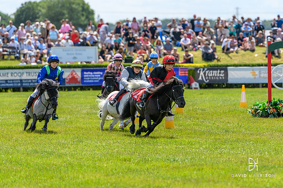 DHP-Lincs-Show-2023-LR-0307
