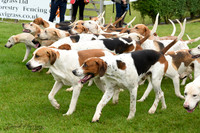 LincsShow19-9287