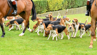 LincsShow19-9295