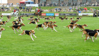 LincsShow19-9331