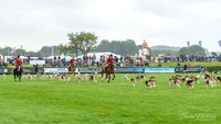 LincsShow19-9318