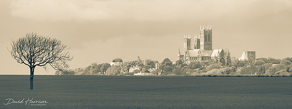 Lincoln Cathedral - DHP 'Signature Image' - Sepia