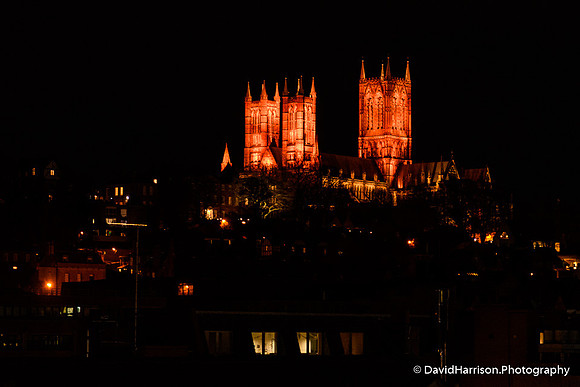 DHP-LincolnChristmas2019-LR-3479