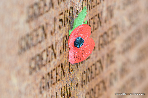 DHP-IBCC-RemembranceDay2022-7265