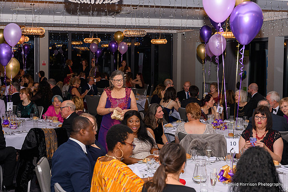 David-Harrison-Photography-ActsTrustBall22-7158