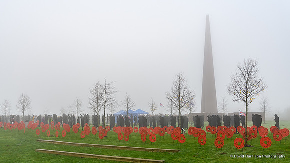 DHP-IBCC-RemembranceDay2022-6621
