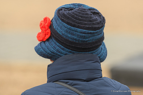 DHP-IBCC-RemembranceDay2022-7255